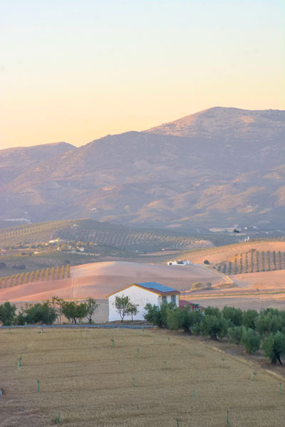 _DSC9743 balcony View
